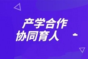 教育部高等教育司关于征集2022年产学合作协同育人项目的函