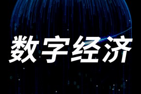 数字经济！31省市大力发展数字经济，41所高校新增数字经济专业（附名单）